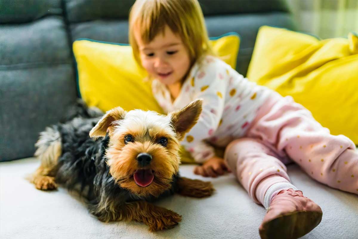 perros buenos con niños